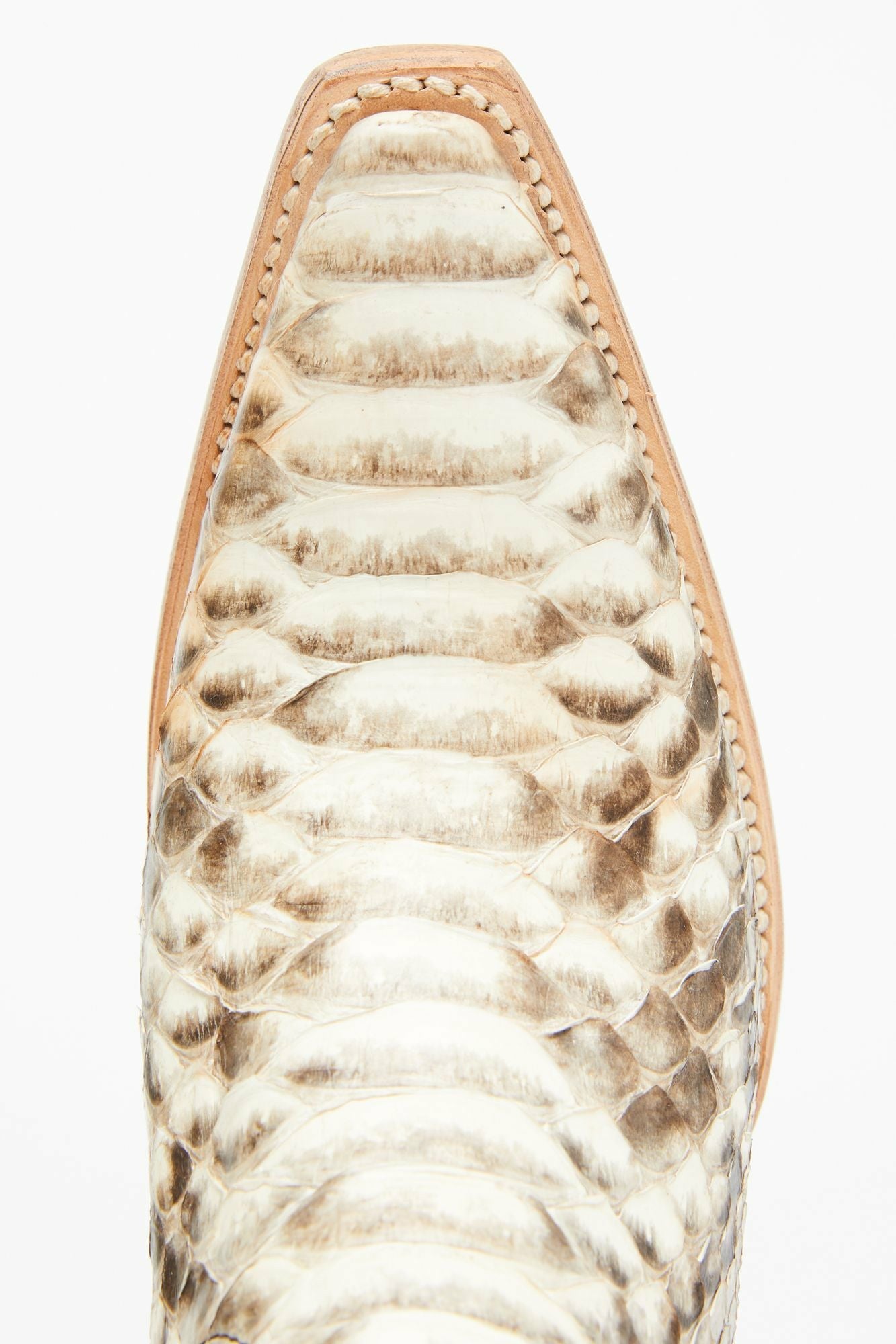 Idyllwind Women | Slay Python Tall Western Boots - Snip Toe